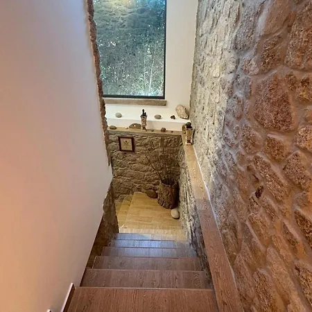 Corte Grande * Zebras